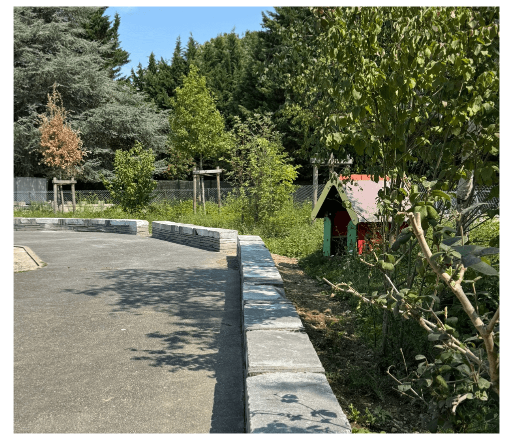 Travaux de restauration sur un bâti ancien en pierre – Aryana Construction